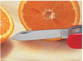 kiseniniai peiliai - Victorinox Waiter Celidor 0.3303 / !! Atgauk 2% - 7 nuotrauka