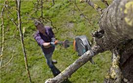 gardena genetuvas - Gardena Pruning Lopper StarCut 160 Plus - 4 nuotrauka