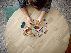 gyvunu nameliai - LEGO Creator Safari namelis medyje 31116 - 3 nuotrauka