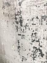 kilimas 300 x 200 - Kilimas Four Seasons 8934A_C5236, 2x3 m - 2 nuotrauka