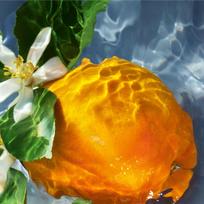 guerlain aqua allegoria - Guerlain Aqua Allegoria Orange Soleia 125ml EDT - 4 nuotrauka