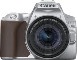 Canon EOS 250D + 18-55mm IS STM Kit Silver (Sidabrinis)