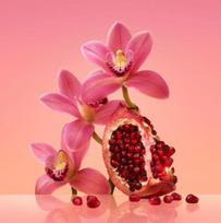 euphoria kvepalai - Calvin Klein Euphoria EDP 50ml - 8 nuotrauka