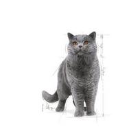 brit konservai 12 - Šlapias kačių maistas Royal Canin British Shorthair Adult 12pcs - 5 nuotrauka