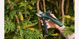 akumuliatorines zirkles bosch - Bosch EasyPrune - 4 nuotrauka