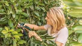akumuliatorines zirkles bosch - Bosch EasyPrune - 5 nuotrauka