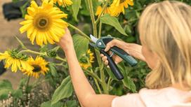 akumuliatorines zirkles bosch - Bosch EasyPrune - 6 nuotrauka