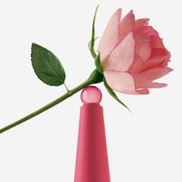 issey miyake l - Issey Miyake L´Eau D´Issey Rose & Rose 50ml EDP - 4 nuotrauka
