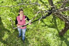 gardena genetuvas - Fiskars UP53 Garden Pruner Universal - 6 nuotrauka