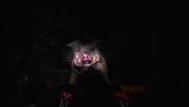 ps4 vr zaidimai - Until Dawn Rush Of Blood VR PS4 - 4 nuotrauka