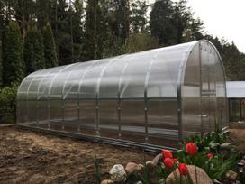 siltnamiai 3x8 - Arkinis šiltnamis KLASIKA 24 m2 (3x8 m) su 4 mm. polikarbonato danga - 3 nuotrauka