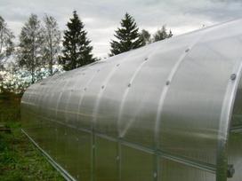 siltnamiai 3x8 - Arkinis šiltnamis KLASIKA 24 m2 (3x8 m) su 4 mm. polikarbonato danga - 7 nuotrauka