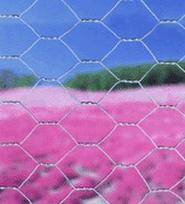aky - Šešiakampėmis akimis pintas tinklas 1 x 50 x 50 x 1000 mm, 25m - 3 nuotrauka