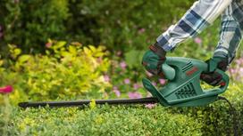 akumuliatorines zirkles bosch - Bosch Easy HedgeCut 45 - 8 nuotrauka