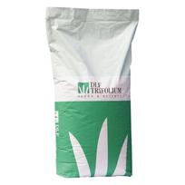zoles seklos - Vejų sėklos Robustika, 1 kg - 2 nuotrauka