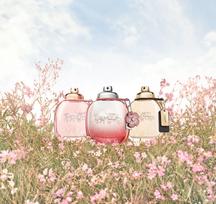 coach kvepalai - Coach Floral Blush 30ml EDP - 8 nuotrauka