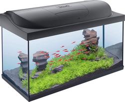 Tetra Starter Line LED Aquarium 105l