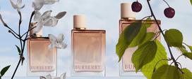 burberry her intense - Burberry Her Intense 50ml EDP - 6 nuotrauka