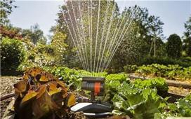 gardena laistymo irangas - Gardena Oscillating Sprinkler AquaZoom Compact - 3 nuotrauka