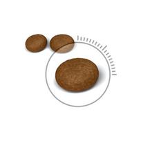 sausas kaciu maistas 10kg - Royal Canin Hair & Skin Care 2 kg - 3 nuotrauka