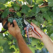 soda - Gardena BP50 Premium Secateur - 5 nuotrauka