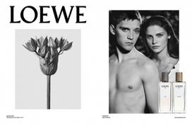 loewe - Loewe 001 Man 50ml EDP - 4 nuotrauka