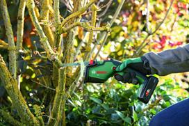 bosch 18v 8.0ah - Bosch - Keo 18V Pruning Saw - 3 nuotrauka