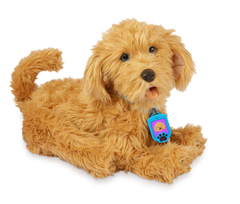 fuzzy friend - Žaislinis gyvūnas SkyRocket My Fuzzy Friends Moji The Lovable Labradoodle, anglų - 4 nuotrauka