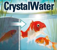 tvenkiniams zuvys - Preparatas tvenkinio žuvų gydymui Tetra Pond CrystalWater, 3000 ml - 4 nuotrauka