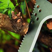 fiskars krumu kardas - Krūmų kirtiklis Fiskars CL-521, 510 mm - 8 nuotrauka