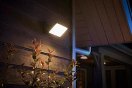 lauko prozektorius philips - Philips Discover Outdoor Floodlight - 8 nuotrauka