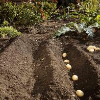 gardena combisystem - Gardena Combisystem Ridge Plough - 4 nuotrauka