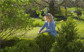 zirkles garden - Gardena PrecisionCut Hedge Clippers - 8 nuotrauka