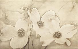 plyteles 25 40 - Keraminės dekoruotos sienų plytelės Tuti Beige Inserto Flower, 25 x 40 cm - 1 nuotrauka