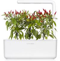 daigykla - Click & Grow Smart Home Piri Piri Chili Pepper Refill 3-Pack - 5 nuotrauka