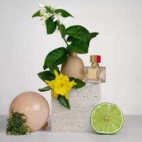 vivo - Valentino Voce Viva 50ml EDP - 6 nuotrauka