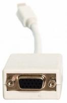 display port laidas - ART Adapter Displayport-mini to VGA 0.15m White - 1 nuotrauka