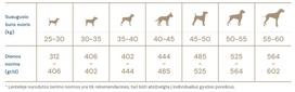 quattro sunu - Quattro Maxi Adult Dog Food With Poultry 3kg - 2 nuotrauka