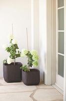 geliu vazonai - Keter Cube Planter L Brown - 4 nuotrauka