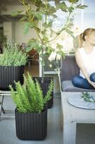 geliu vazonai - Keter Cube Planter L Brown - 6 nuotrauka