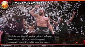 pro ps4 - Fire Pro Wrestling World PS4 - 15 nuotrauka