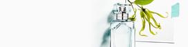 tiffany co kvepalai - Tiffany & Co. Tiffany Sheer, 50 ml EDT - 7 nuotrauka