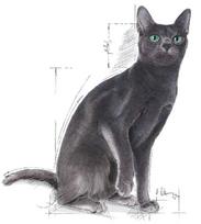 katieji - Royal Canin Sterilised 37 2 kg - 3 nuotrauka