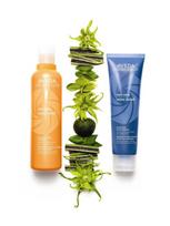 sampunai suniukams - Aveda Sun Care Hair And Body Valiklis Plaukų ir kūno prausiklis, saugantis nuo saulės, 250 ml - 2 nuotrauka