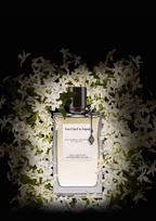 van cleef arpels - Van Cleef & Arpels Collection Extraordinaire California Reverie, 75ml (EDP) - 3 nuotrauka