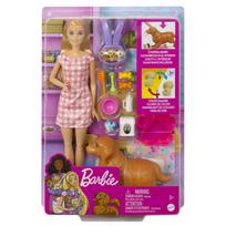 Lėlė Barbie HCK75, 28 cm