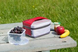 campingaz - Šaltkrepšis Campingaz Freez'Box M 2000024776 Gray/Red, 3 l - 4 nuotrauka