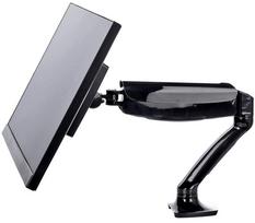 monitor vesa 100x100 - Iiyama DS3002C-B1 - 2 nuotrauka