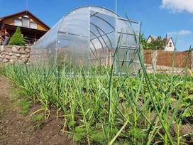 siltnamis klasika 3x4 - Arkinis šiltnamis KLASIKA 12 m2 (3x4 m) su 4 mm. polikarbonato danga - 8 nuotrauka