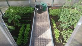 senukai.lt polikarbonatas - Arkinis šiltnamis KLASIKA 6 m2 (3x2 m) su 4 mm polikarbonato danga - 8 nuotrauka